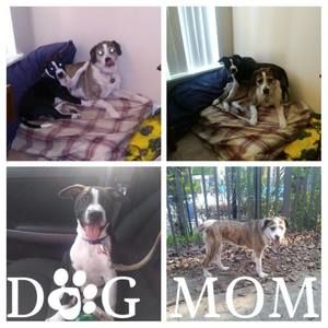 Meet your Posher, Corinne